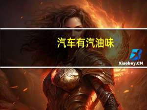 汽车有汽油味