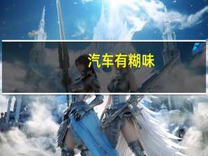 汽车有糊味