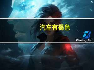 汽车有褐色