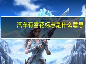 汽车有雪花标志是什么意思