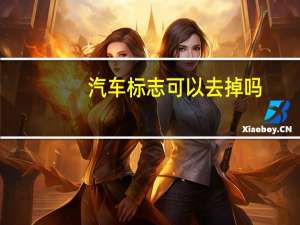 汽车标志可以去掉吗