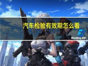 汽车检验有效期怎么看