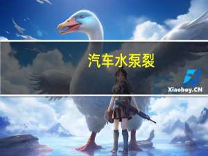 汽车水泵裂