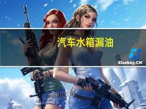 汽车水箱漏油