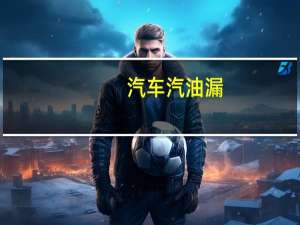 汽车汽油漏