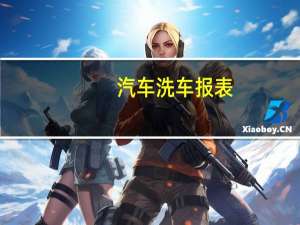 汽车洗车报表