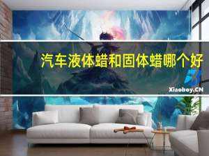 汽车液体蜡和固体蜡哪个好