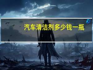 汽车清洁剂多少钱一瓶