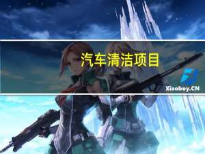 汽车清洁项目
