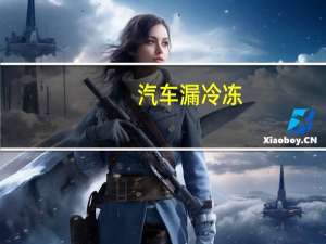 汽车漏冷冻