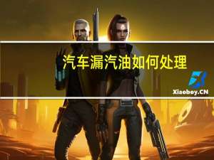 汽车漏汽油如何处理