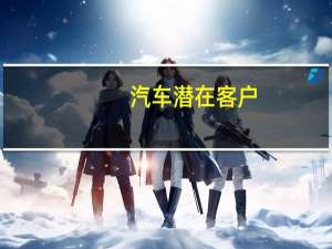 汽车潜在客户