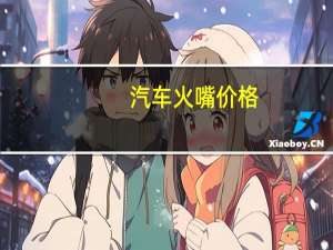 汽车火嘴价格