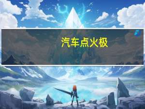 汽车点火极