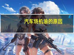 汽车烧机油的原因