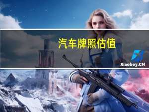 汽车牌照估值