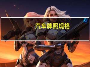汽车牌照规格