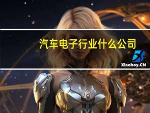 汽车电子行业什么公司