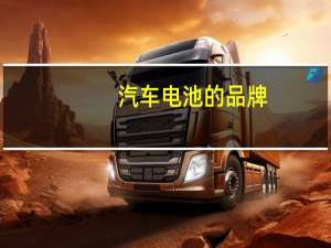 汽车电池的品牌