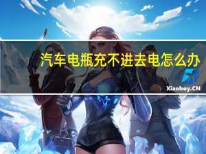 汽车电瓶充不进去电怎么办