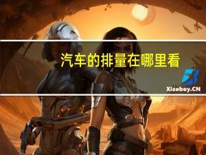 汽车的排量在哪里看