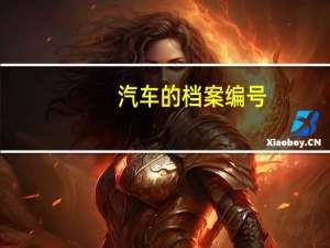 汽车的档案编号