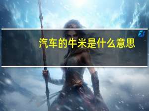 汽车的牛米是什么意思