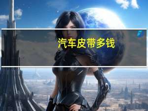 汽车皮带多钱