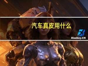 汽车真皮用什么