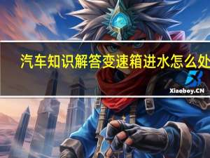汽车知识解答变速箱进水怎么处理？