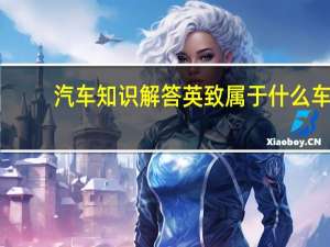 汽车知识解答英致属于什么车？