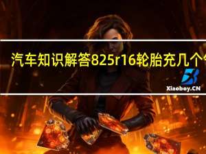 汽车知识解答825r16轮胎充几个气压？