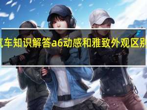 汽车知识解答a6动感和雅致外观区别有什么？