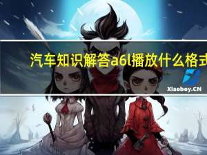 汽车知识解答a6l播放什么格式？