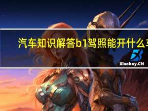 汽车知识解答b1驾照能开什么车？