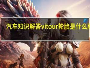汽车知识解答vitour轮胎是什么牌子？