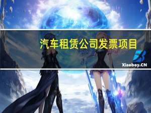 汽车租赁公司发票项目
