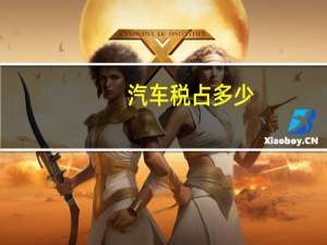 汽车税占多少