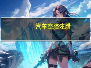 汽车空腔注腊