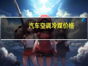 汽车空调冷媒价格