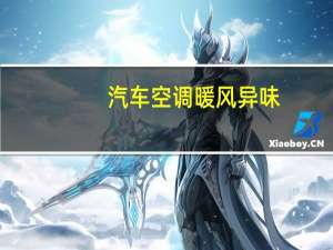 汽车空调暖风异味
