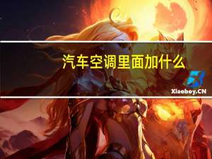 汽车空调里面加什么