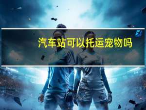 汽车站可以托运宠物吗
