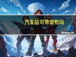 汽车站可带宠物吗
