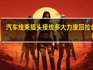 汽车线束插头接线多大力度回拉合适