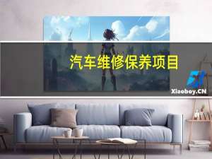 汽车维修保养项目