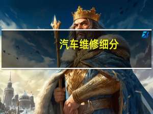 汽车维修细分