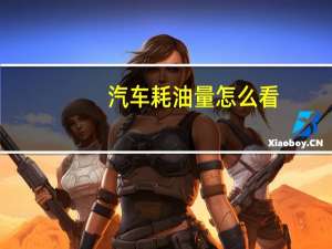 汽车耗油量怎么看