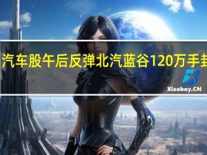 汽车股午后反弹 北汽蓝谷120万手封涨停