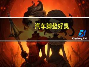 汽车脚垫好臭